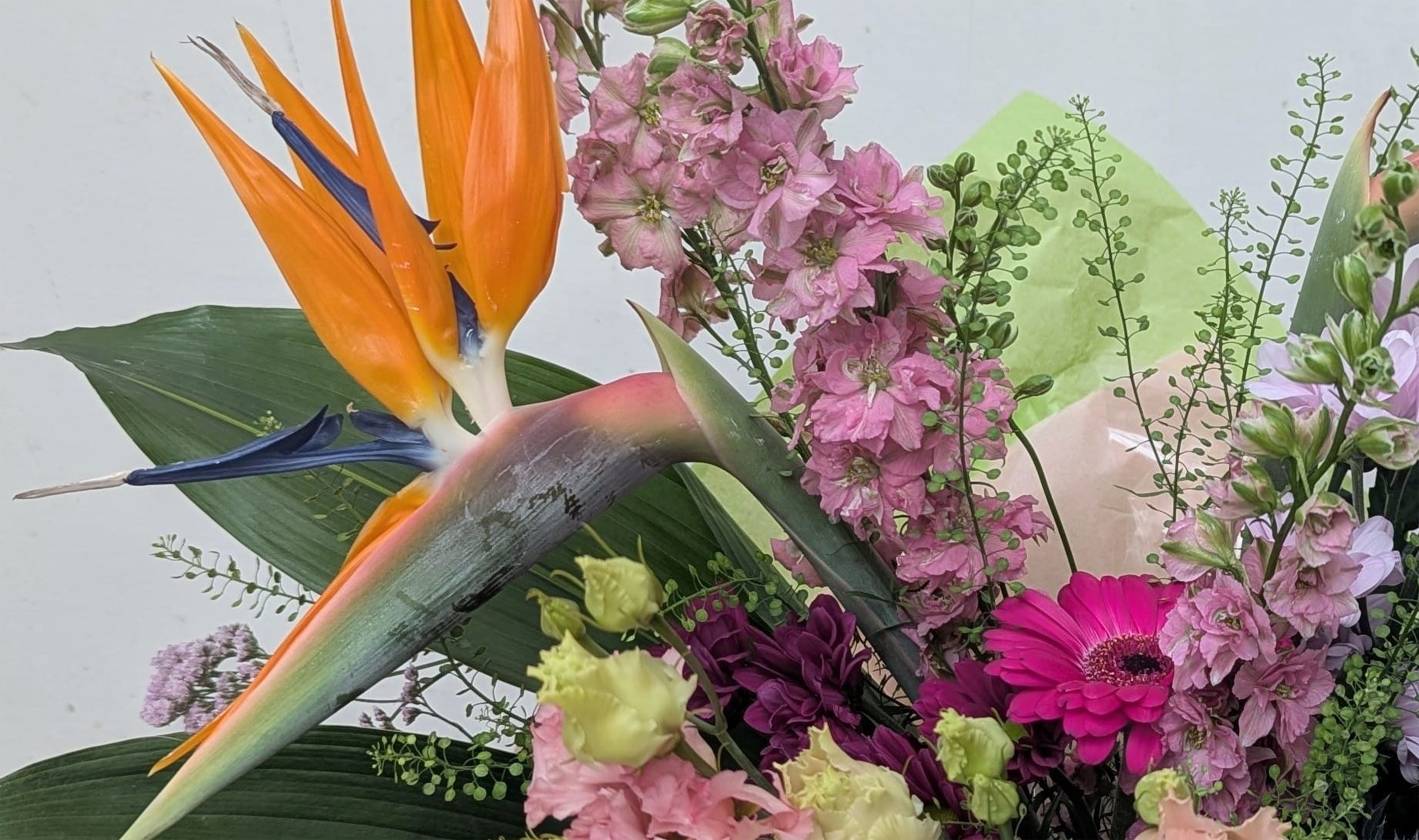 /Websites/1375/Images/upload/image/Home_New_4.jpg?ver=8513